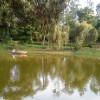 Boating at Amravati Park