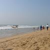 Sea Beach