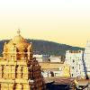 Tirupati Temple